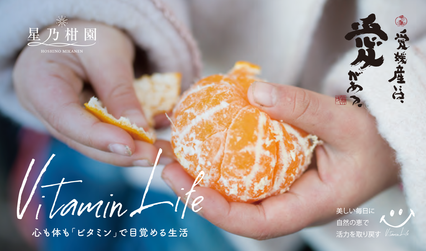 星乃柑園 星乃みかん園