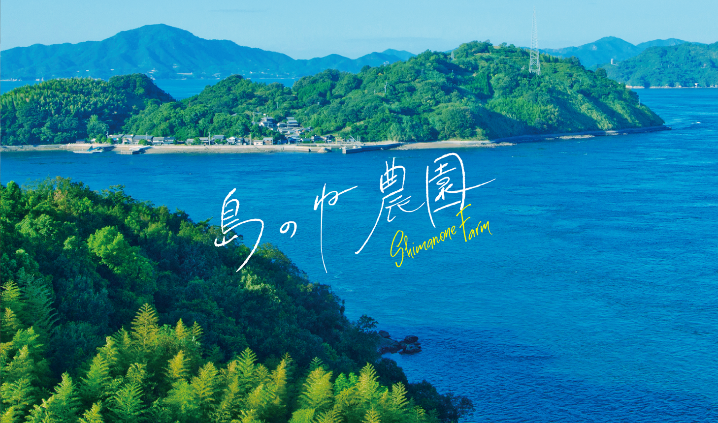 島のね農園